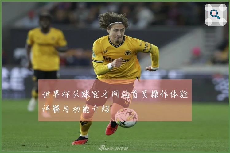 世界杯买球官方网站首页操作体验详解与功能介绍