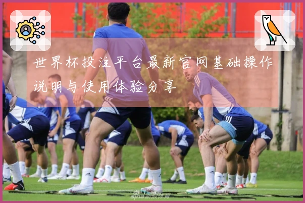 世界杯投注平台最新官网基础操作说明与使用体验分享