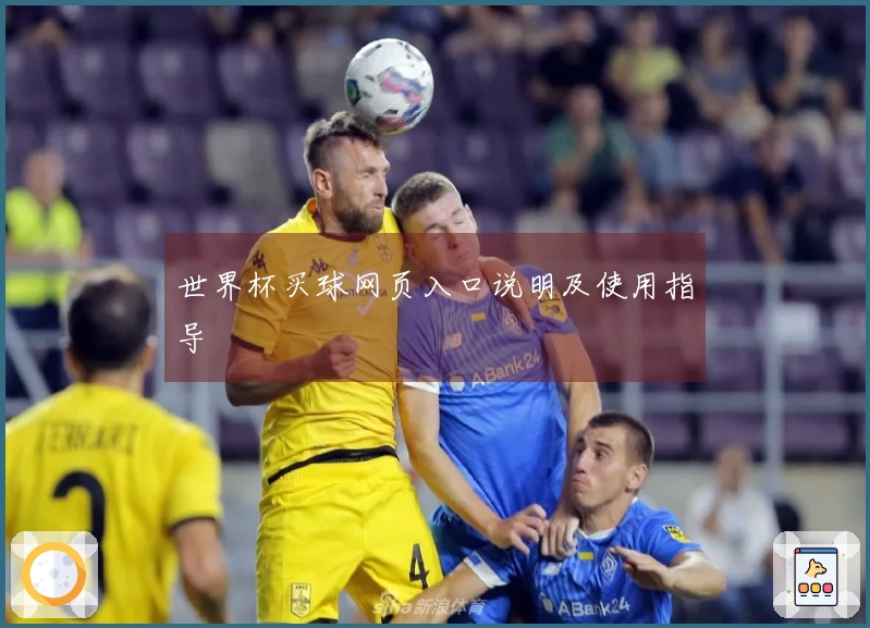 世界杯买球网页入口说明及使用指导