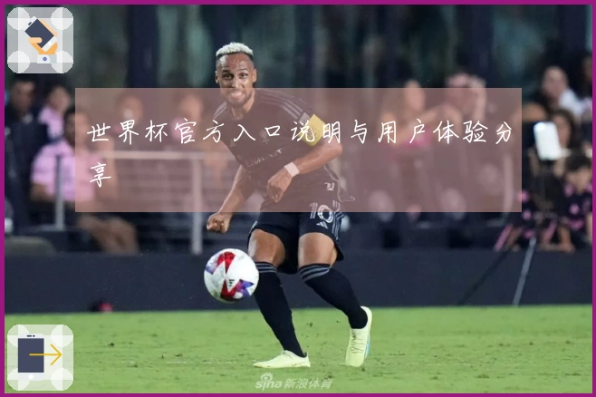 世界杯官方入口说明与用户体验分享