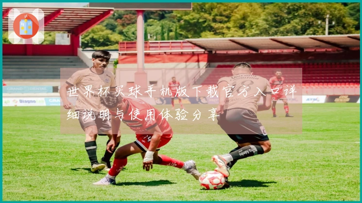世界杯买球手机版下载官方入口详细说明与使用体验分享
