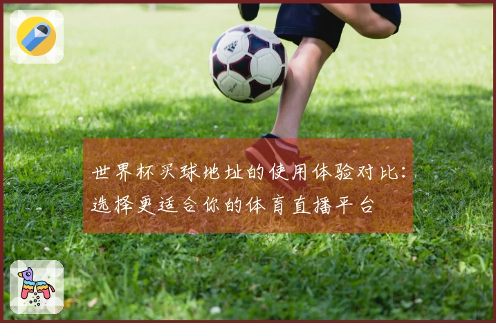 世界杯买球地址的使用体验对比:选择更适合你的体育直播平台