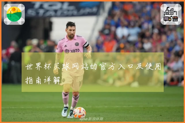 世界杯买球网站的官方入口及使用指南详解