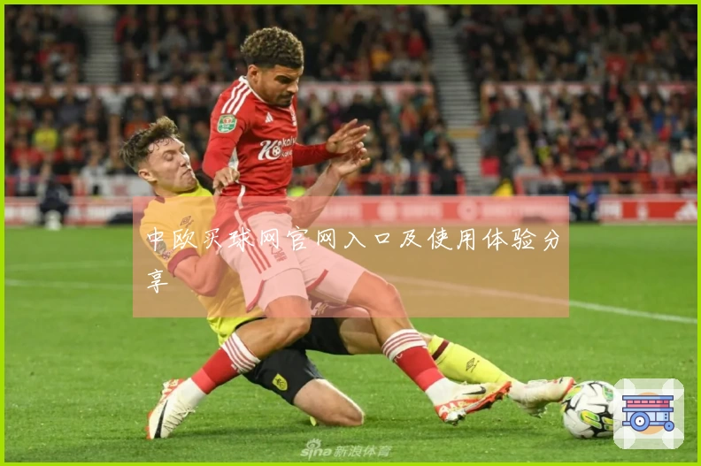 中欧买球网官网入口及使用体验分享