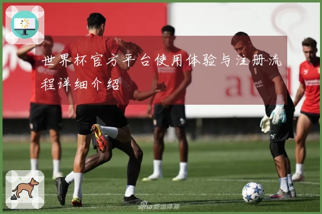 世界杯官方平台使用体验与注册流程详细介绍
