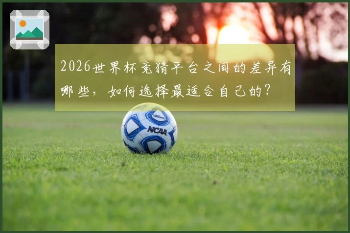 2026世界杯竞猜平台之间的差异有哪些,如何选择最适合自己的?