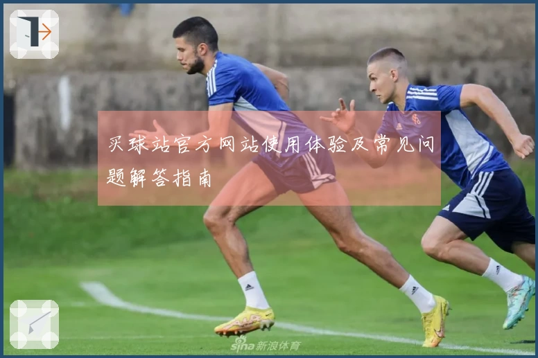 买球站官方网站使用体验及常见问题解答指南