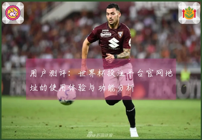 用户测评：世界杯投注平台官网地址的使用体验与功能分析