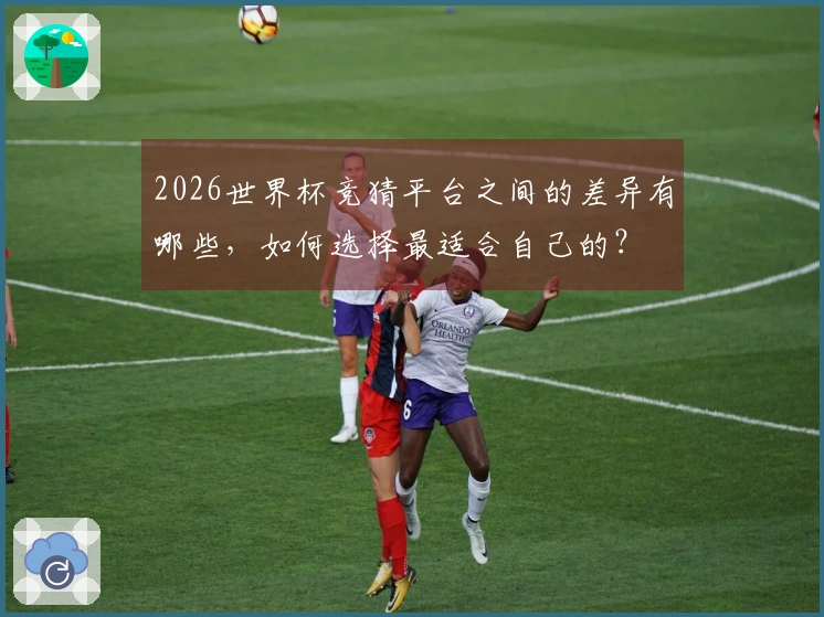 2026世界杯竞猜平台之间的差异有哪些，如何选择最适合自己的？