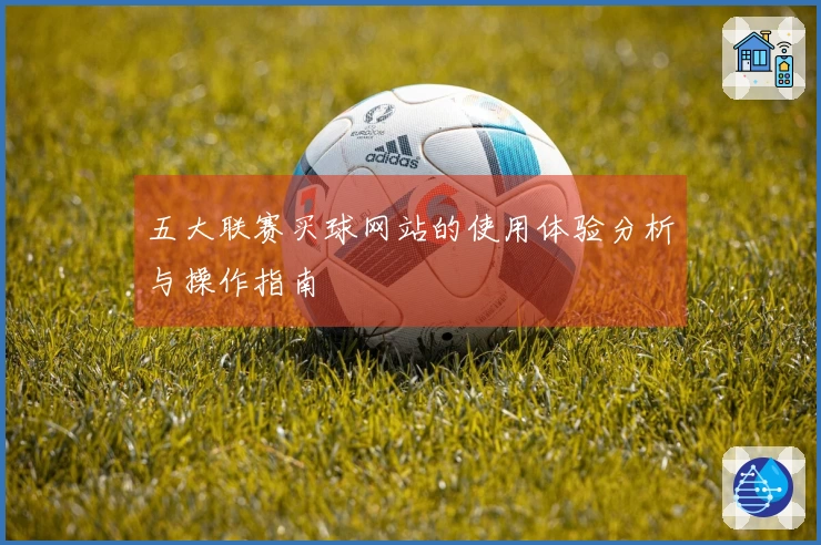 五大联赛买球网站的使用体验分析与操作指南