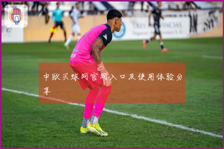 中欧买球网官网入口及使用体验分享